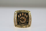 2005 Pittsburgh Steelers Super Bowl Ring  - Premium Series